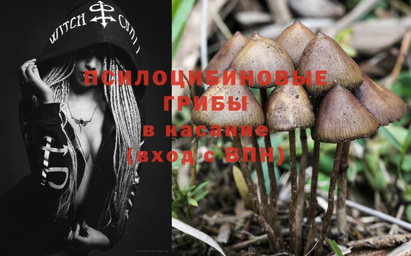 ешки Армянск