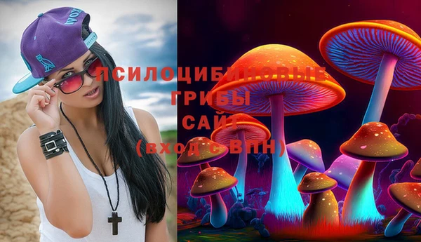 дмт Пересвет