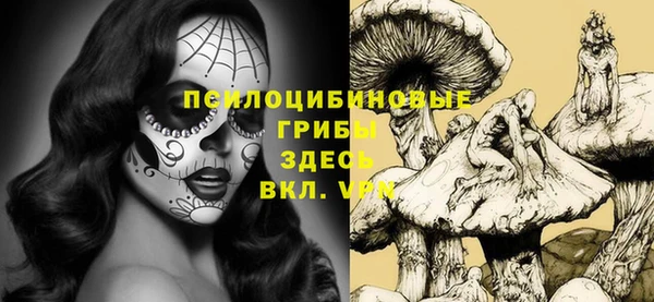 ешки Армянск
