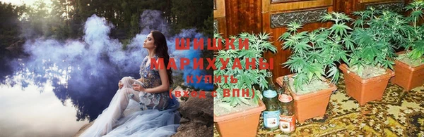 дживик Арсеньев