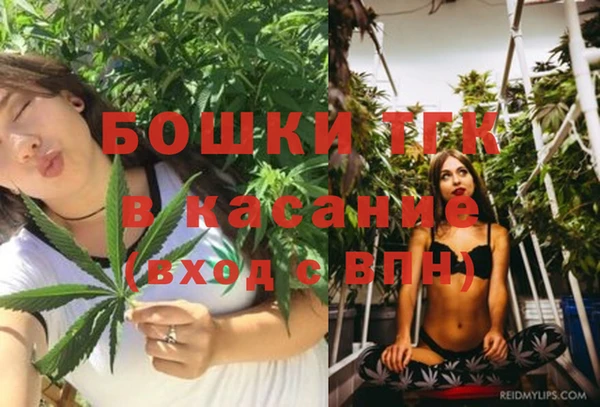 дживик Арсеньев