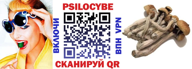 Галлюциногенные грибы Psilocybine cubensis  Искитим 
